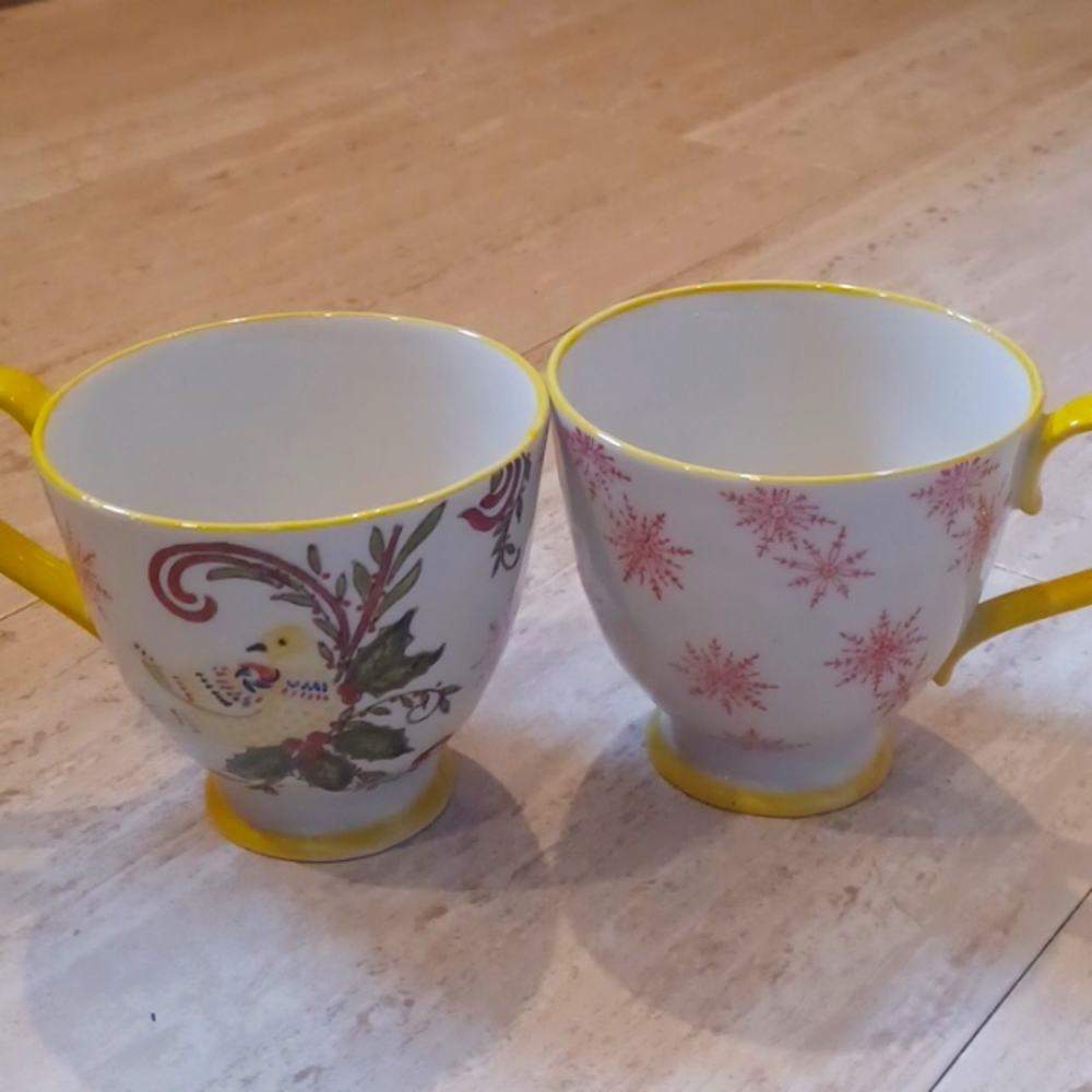Creative Co-op by Kate McRostie Set of 2 Christmas Bird Mugs